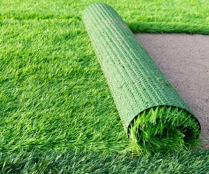 Artificial Grass, Hayward, CA