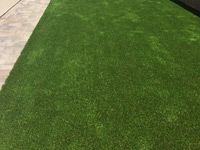Artificial Grass, San Ramon, CA